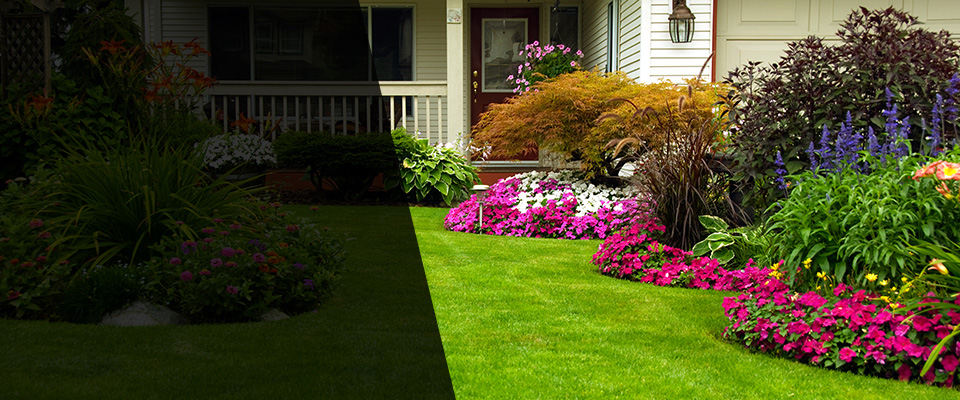 Scarborough Landscapers