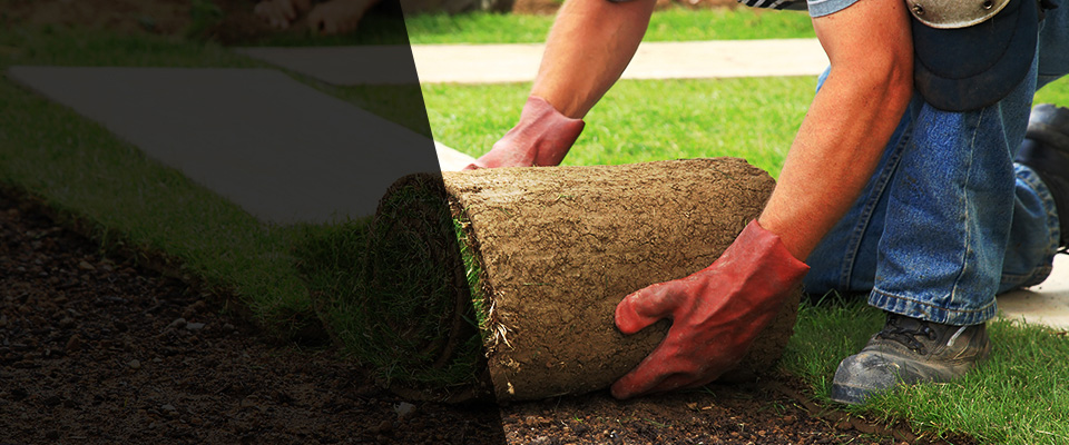 Scarborough Landscapers